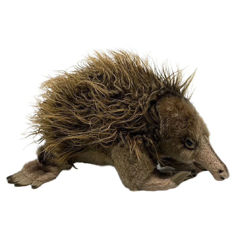 Bocchetta Plush Toys "Harry" Australian Echidna Stuffed Animal 24cm