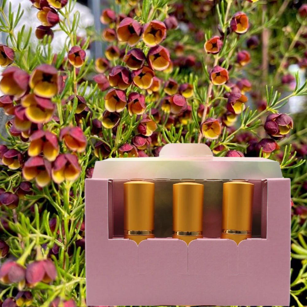 Sharday Boronia Eau De Toilette 3 x 10ml Alcohol Free Floral Perfume Gift Set