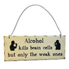 Home Decor Humour Hanging Sign Alcohol Kills Brain Cells Design