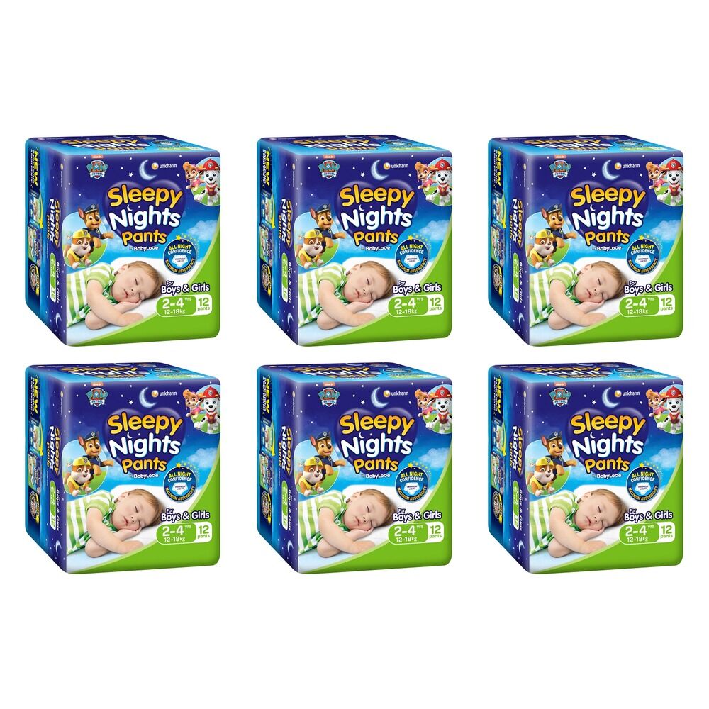 Baby Love SleepyNights Overnight Pants 2-4 Years (12-18kg) Bluey 12 Bundle of 6