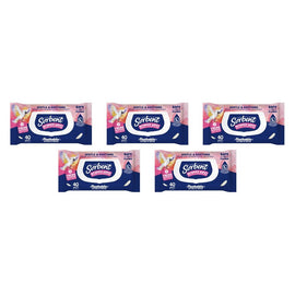 Sorbent Flushable Intimate Wipes 40 Pack Bundle of 5