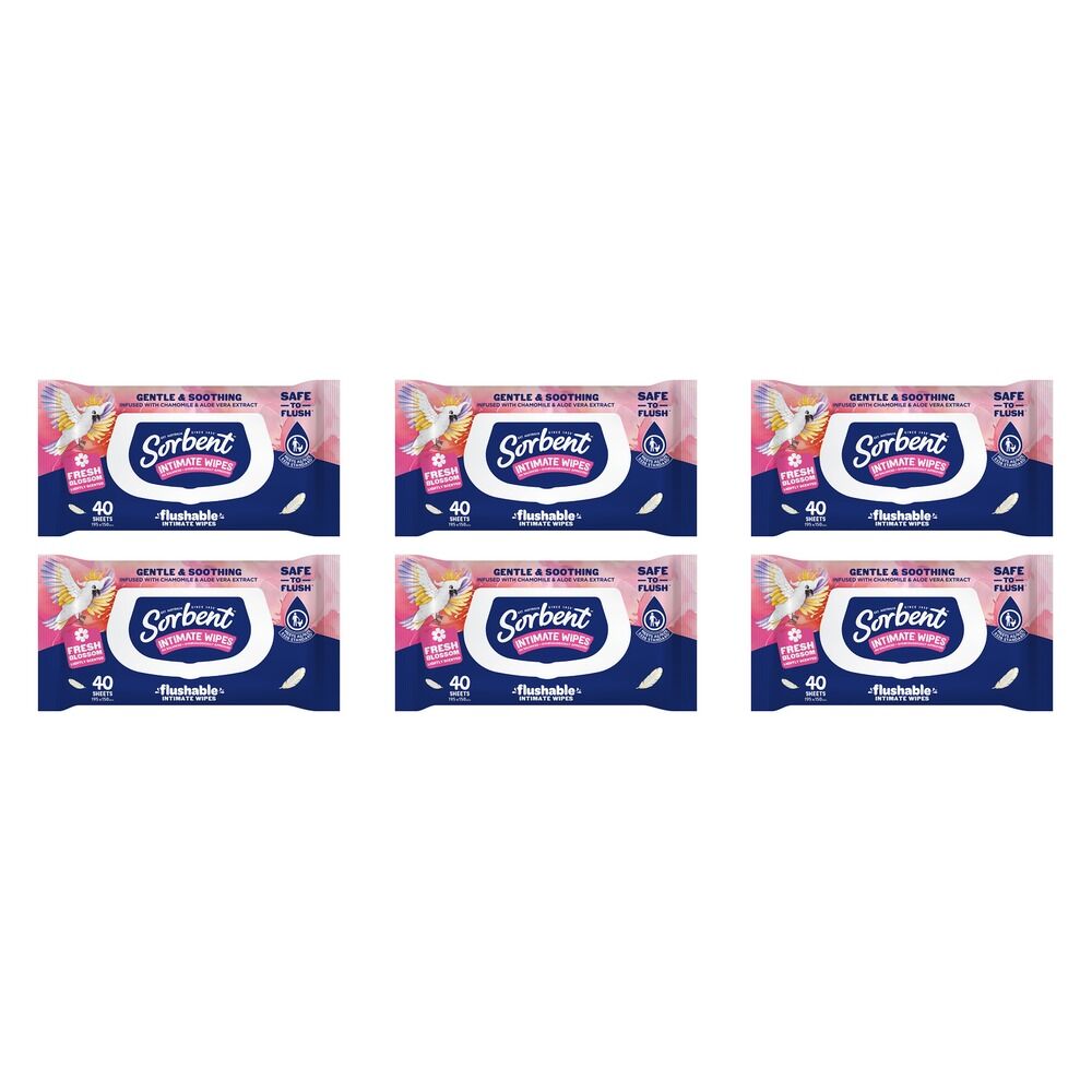Sorbent Flushable Intimate Wipes 40 Pack Bundle of 6