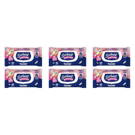 Sorbent Flushable Intimate Wipes 40 Pack Bundle of 6