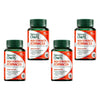 Nature's Own High Strength Echinacea 60 Capsules Pack of 4