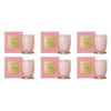 Peppermint Grove Pink Rose & Marshmallow Limited Edition Scented Soy Pack of 6