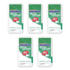 Mentos Clean Breath Spearmint 21g x 12 Bundle of 5