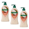Palmolive Body Butter Coconut & Jojoba Body Wash 750mL Pack of 3