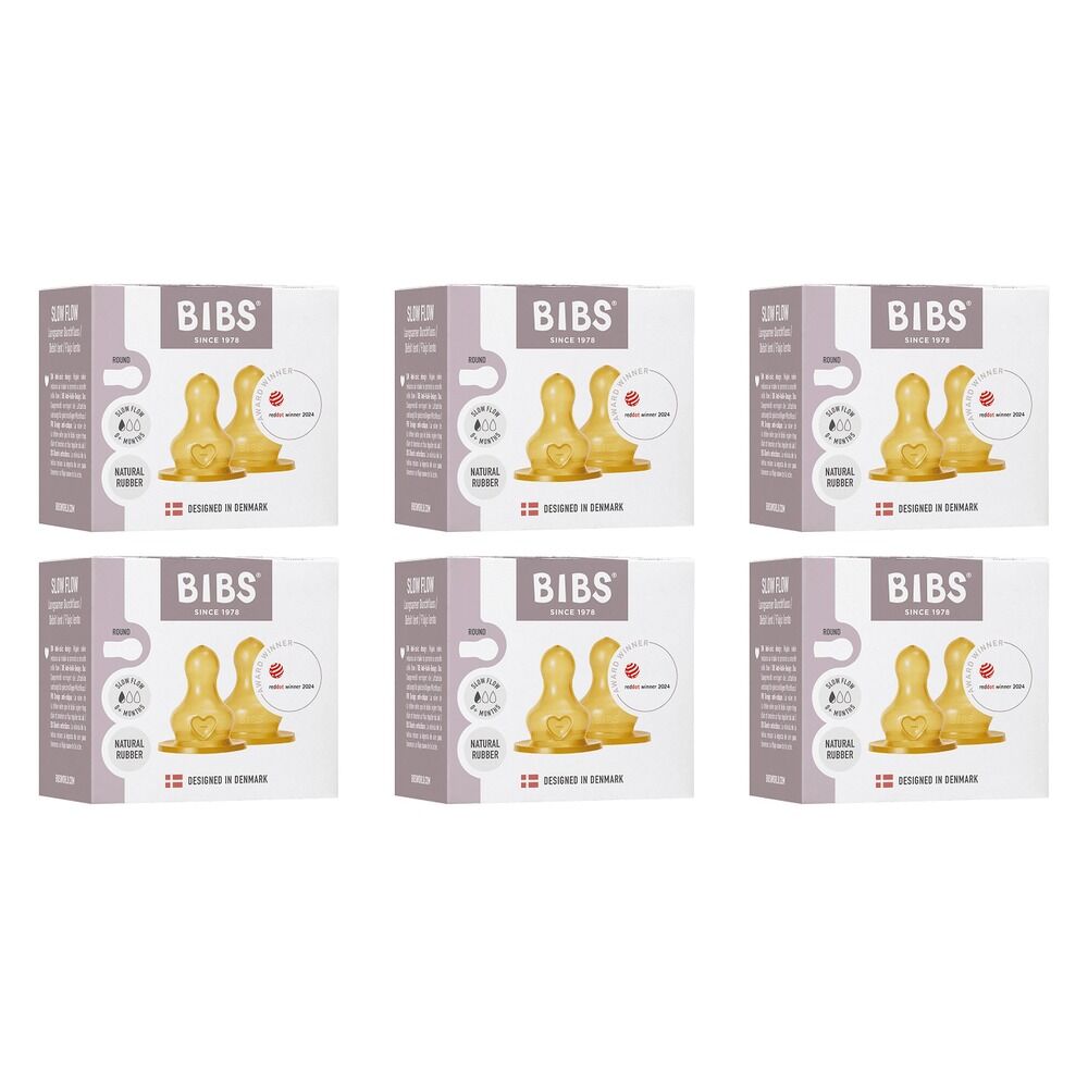 Bibs Bottle Nipple Slow Flow 2 Pack Bundle of 6