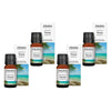 Bosisto's Australian Natives Noosa Diffuser Oil 10mL Pack of 4