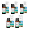 Bosisto's Australian Natives Noosa Diffuser Oil 10mL Pack of 5