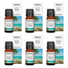 Bosisto's Australian Natives Noosa Diffuser Oil 10mL Pack of 6