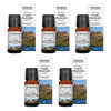 Bosisto's Australian Natives Cradle Mountain Oil 10mL Pack of 5