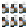 Bosisto's Australian Natives Cradle Mountain Oil 10mL Pack of 6