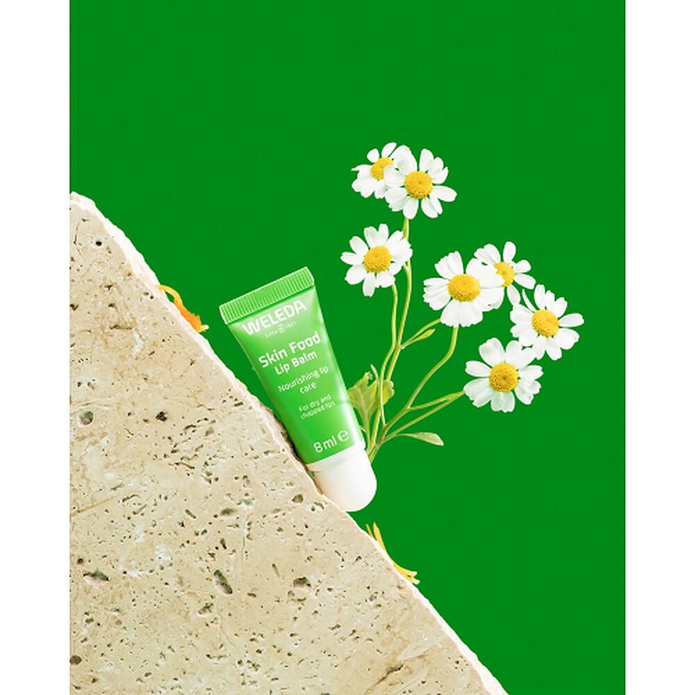 Weleda Skin Food Lip Balm 8mL x 6