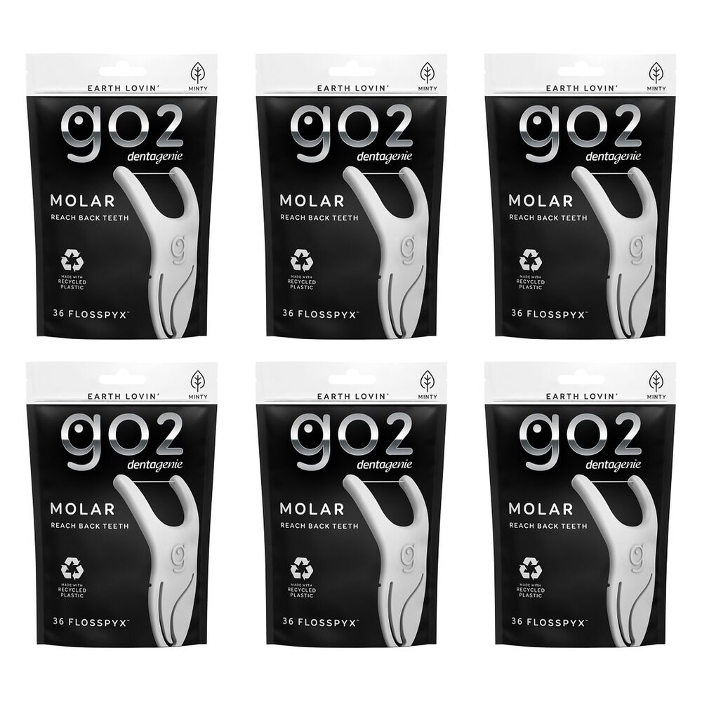 Dentagenie Molar Flosspyx Minty Floss Picks 36 Pack Bundle of 6