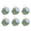 Pharmacy Health Body Polisher Sage Pack of 6
