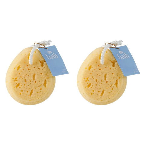 Pharmacy Health Body Sponge Pack of 2