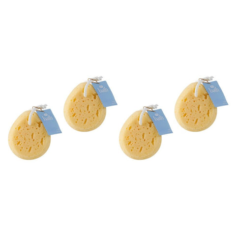 Pharmacy Health Body Sponge Pack of 4