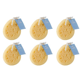 Pharmacy Health Body Sponge Pack of 6