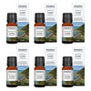 Bosisto's Australian Natives Lorne Oil 10mL Pack of 6