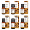Bosisto's Decadent Tiramisu Diffuser Oil 10mL Pack of 6