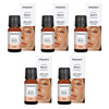 Bosisto's True You Brave Diffuser Oil 10mL Pack of 5
