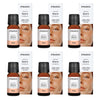 Bosisto's True You Brave Diffuser Oil 10mL Pack of 6