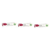 Red Seal Natural Health Herbal Toothpaste 100g Pack of 3