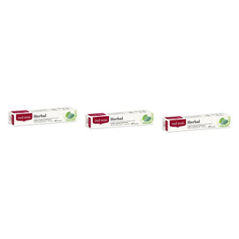 Red Seal Natural Health Herbal Toothpaste 100g Pack of 3