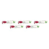 Red Seal Natural Health Herbal Toothpaste 100g Pack of 5