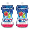 Rehydraid Oral Electrolyte Solution Apple Raspberry 250mL x 6 Bundle of 2