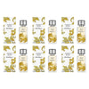 Ferragamo Savane Di Seta Eau de Parfum 50mL Pack of 6