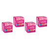 Carefree Barely There G-String Liners 24 Pack x 12 Bundle of 4
