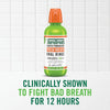 TheraBreath Mild Mint Oral Rinse 473mL