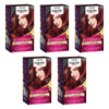Napro Palette Permanent Creme Colour 4-88 Dark Red x 3 Bundle of 5