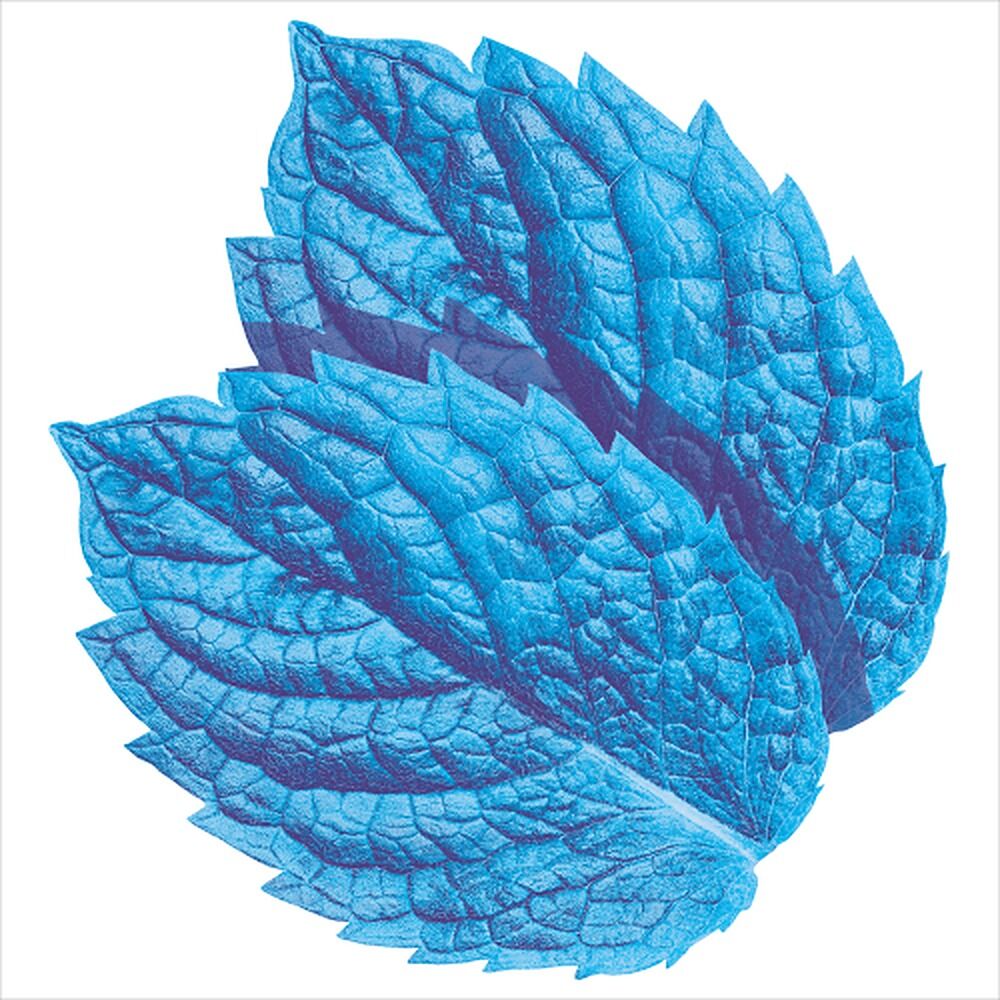 Extra Peppermint Sugar Free Chewing Gum 14 Pack x 24
