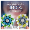 Oral-B Everyday Clean Replacement Brush Heads 2 Pack