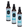 HASK Argan Oil Repairing 5-in-1 Leave-In Spray 175mL Pack of 3