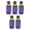 Thursday Plantation Lavender Oil 50mL Pack of 5