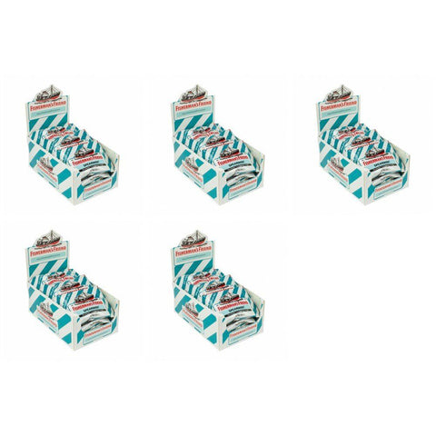 Fisherman's Friend Spearmint Sugar Free Lozenges 22g Counter Display of 12 Bundle of 5