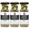Random Harvest Watermelon Rock Candy 3 x 170g Glass Jars Gluten Free