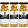 Random Harvest Citrus Rock Candy 3 x 170g Glass Jars Gluten Free Vegan