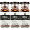 Random Harvest Espresso Coffee Rock Candy 3 Pack 170g Glass Jar Lollies