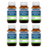 Ethical Nutrients Ginseng 5 Exhaustion Relief Capsules 60 Pack Bundle of 6