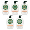 DermaVeen Daily Nourish Moisturising Lotion for Dry & Sensitive Skin Pack of 5