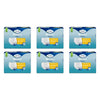Tena Pants Normal Large 18 Pack x 4 Bundle of 6