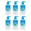 Dermal Therapy Anti-Itch Soothing Lotion 250mL Pack of 6
