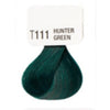 Kiss Tintation Semi-Permanent Hair Colour with Aloe Vera 148ml Hunter Green T111