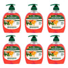 Palmolive Antibacterial Hand Wash 2 Hour Defence 250mL Pack of 6