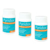 Pyridox Vitamin B Supplement 100 Tablets Pack of 3